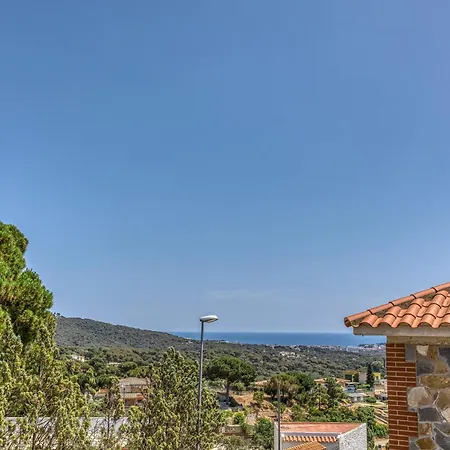 Nyaraló Olive