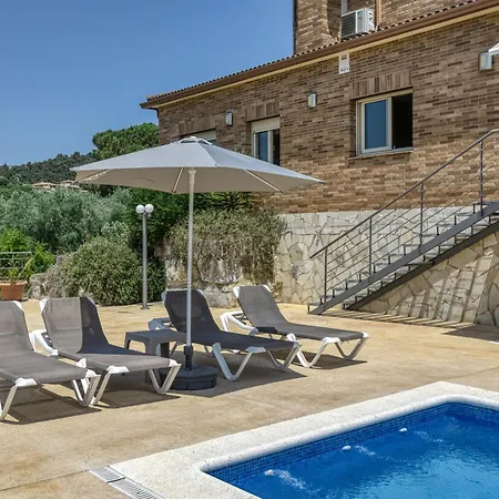 Tatil Evi Olive