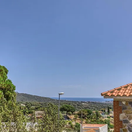 Olive Tatil Evi *